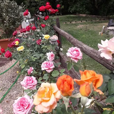 Bed & Breakfast Boscodisotto Rapolano Terme