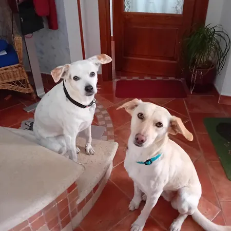 Boscodisotto Bed & Breakfast