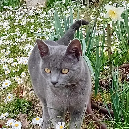 Boscodisotto Bed & Breakfast