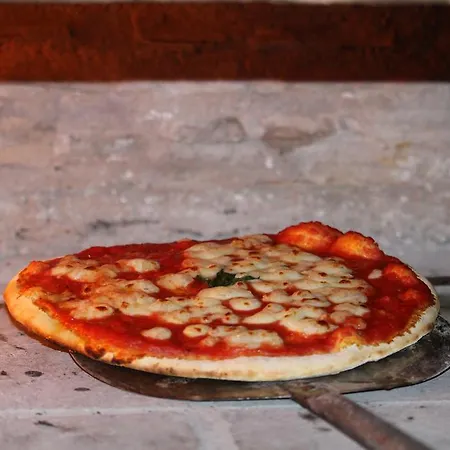 Boscodisotto Rapolano Terme