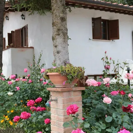 Boscodisotto Rapolano Terme