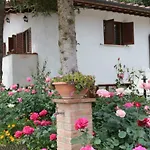 Boscodisotto Rapolano Terme