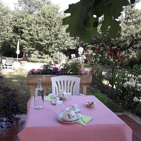 Boscodisotto Rapolano Terme