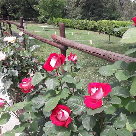 住宿加早餐酒店 波斯可迪所托住宿加早餐旅馆
