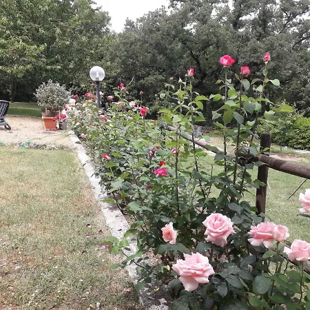 Bed & Breakfast Boscodisotto