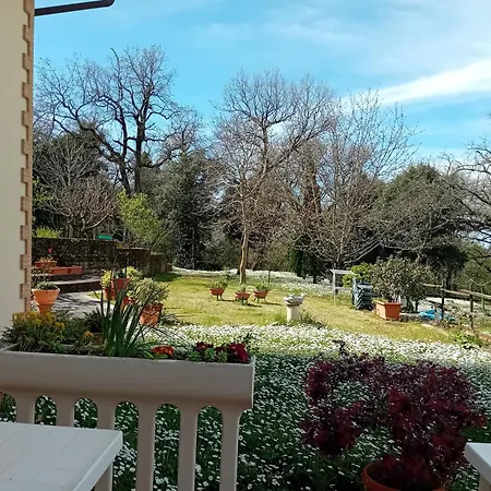 Boscodisotto Bed & Breakfast Rapolano Terme