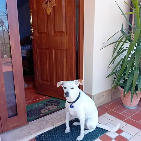 波斯可迪所托住宿加早餐旅馆 3* 拉波拉诺泰尔梅