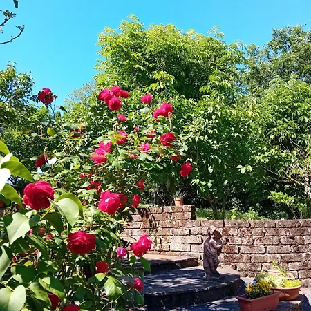 波斯可迪所托住宿加早餐旅馆