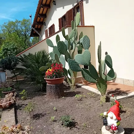 Bed & Breakfast Boscodisotto *