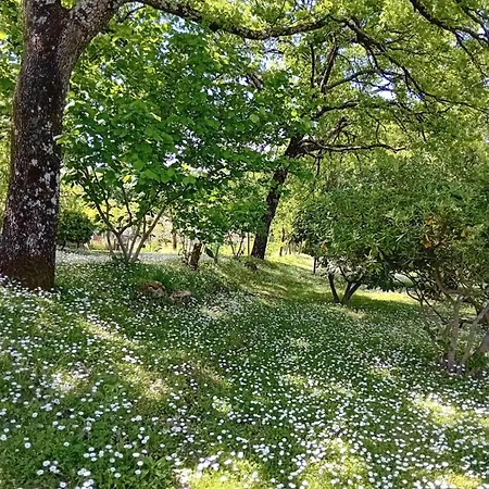 波斯可迪所托住宿加早餐旅馆 住宿加早餐酒店 拉波拉诺泰尔梅