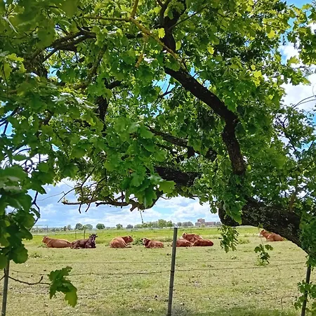 住宿加早餐酒店 波斯可迪所托住宿加早餐旅馆 拉波拉诺泰尔梅