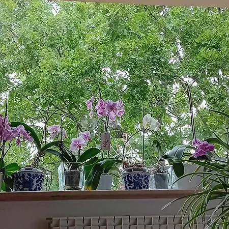 波斯可迪所托住宿加早餐旅馆 住宿加早餐酒店 拉波拉诺泰尔梅