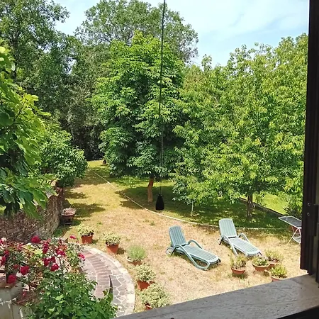 Boscodisotto * Rapolano Terme