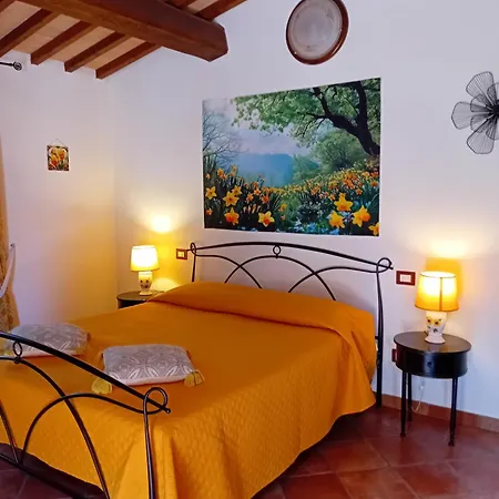 Boscodisotto Rapolano Terme
