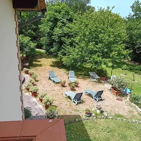 Boscodisotto * Rapolano Terme