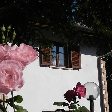 Bed & Breakfast Boscodisotto *