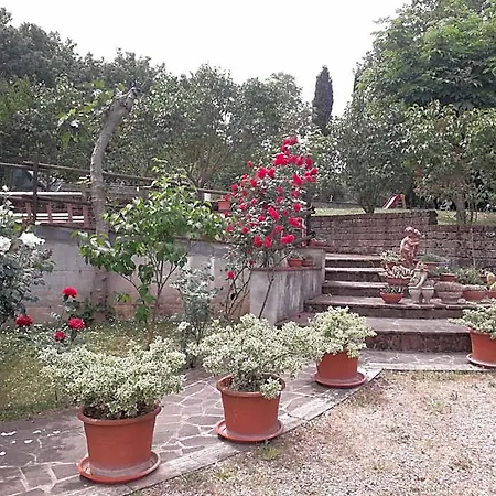 Boscodisotto Rapolano Terme