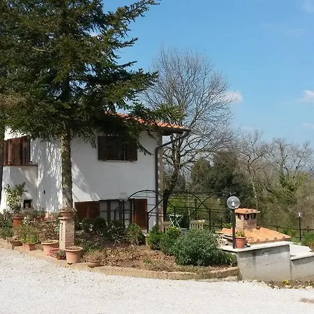 Boscodisotto * Rapolano Terme