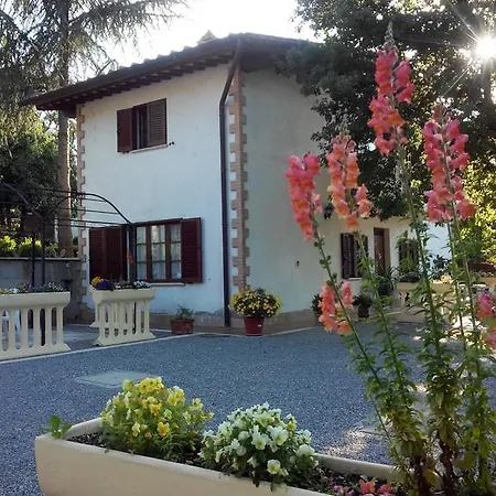 Boscodisotto Rapolano Terme
