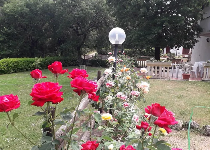 Boscodisotto Rapolano Terme