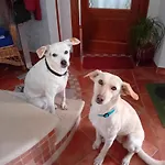 Boscodisotto Frühstückspension