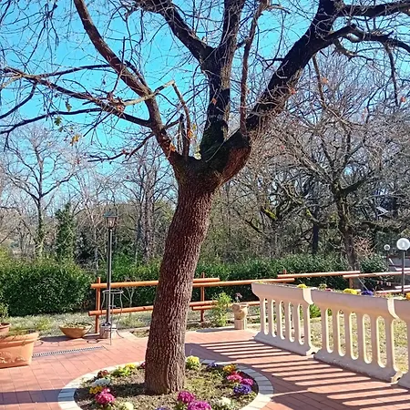 Frühstückspension Boscodisotto Rapolano Terme