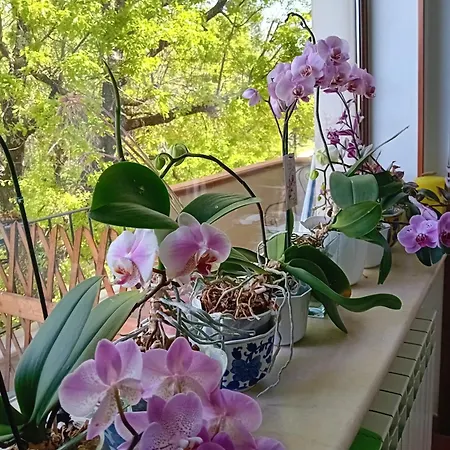 Boscodisotto 3* Rapolano Terme